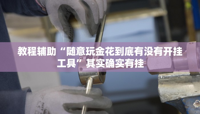 教程辅助“随意玩金花到底有没有开挂工具”其实确实有挂 教程辅助“随意玩金花到底有没有开挂工具”其实确实有挂