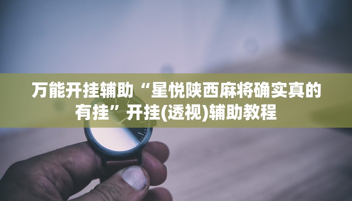 教程辅助“wepoker透视挂机教程”开挂详细教程 教程辅助“wepoker透视挂机教程”开挂详细教程