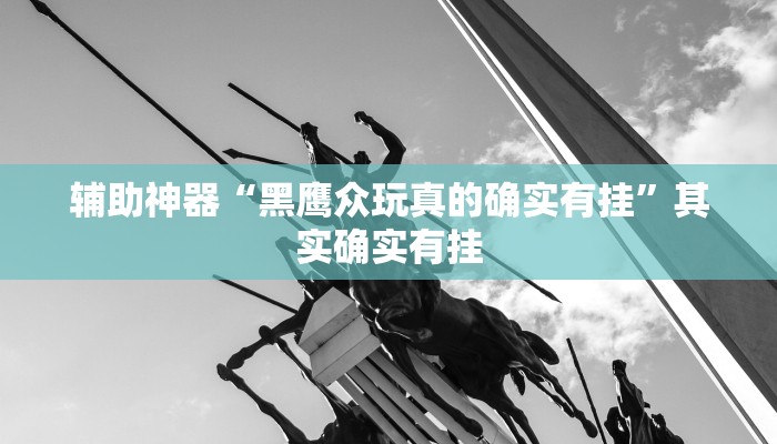 辅助神器“黑鹰众玩真的确实有挂”其实确实有挂