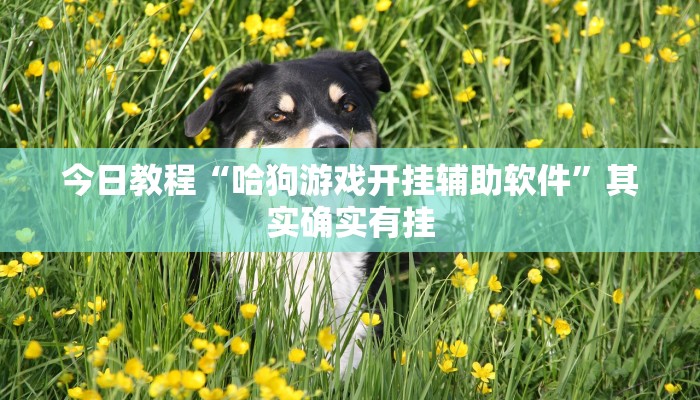 今日教程“哈狗游戏开挂辅助软件”其实确实有挂 今日教程“哈狗游戏开挂辅助软件”其实确实有挂