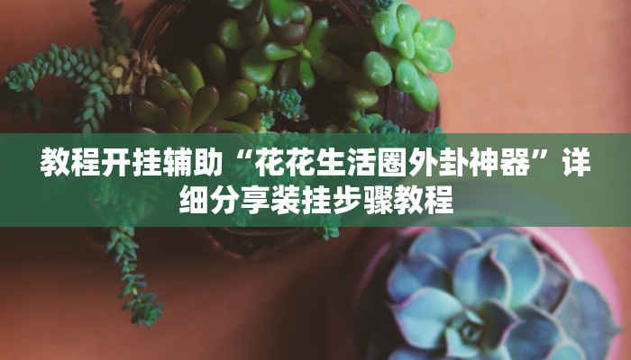 教程开挂辅助“花花生活圈外卦神器”详细分享装挂步骤教程