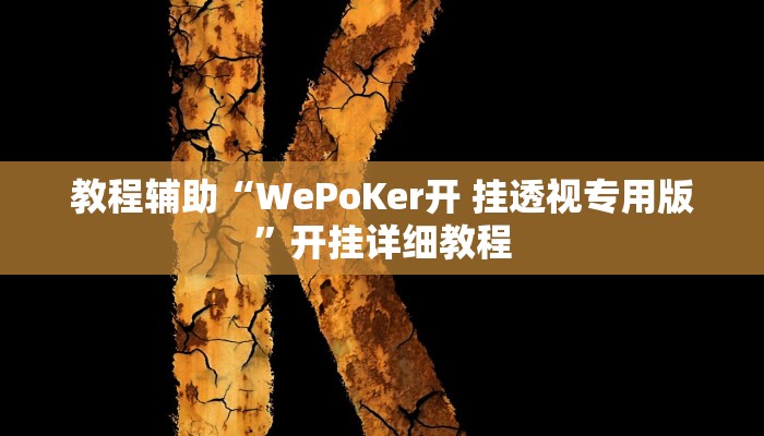 教程辅助“WePoKer开 挂透视专用版”开挂详细教程 教程辅助“WePoKer开 挂透视专用版”开挂详细教程