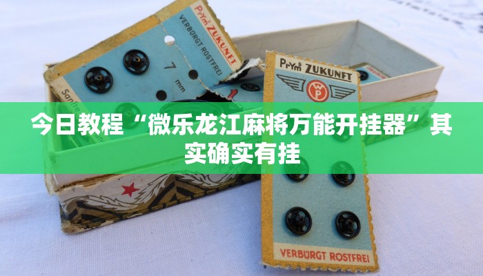 今日教程“微乐龙江麻将万能开挂器”其实确实有挂 今日教程“微乐龙江麻将万能开挂器”其实确实有挂