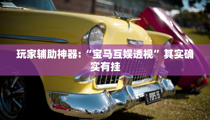 玩家辅助神器:“宝马互娱透视”其实确实有挂