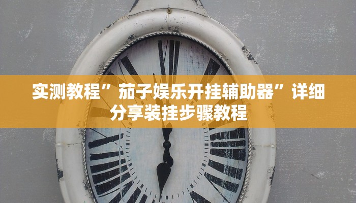 实测教程”茄子娱乐开挂辅助器”详细分享装挂步骤教程