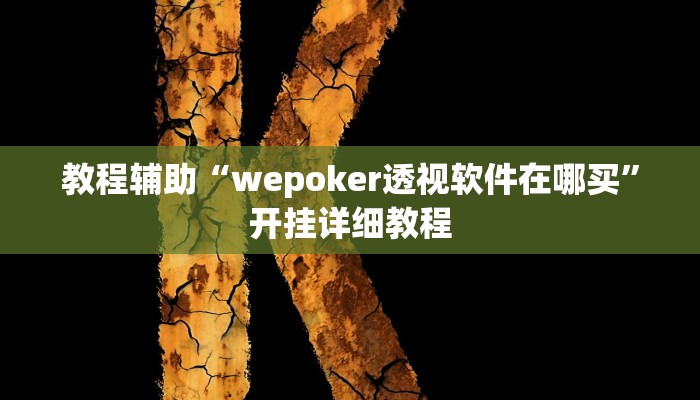教程辅助“wepoker透视软件在哪买”开挂详细教程