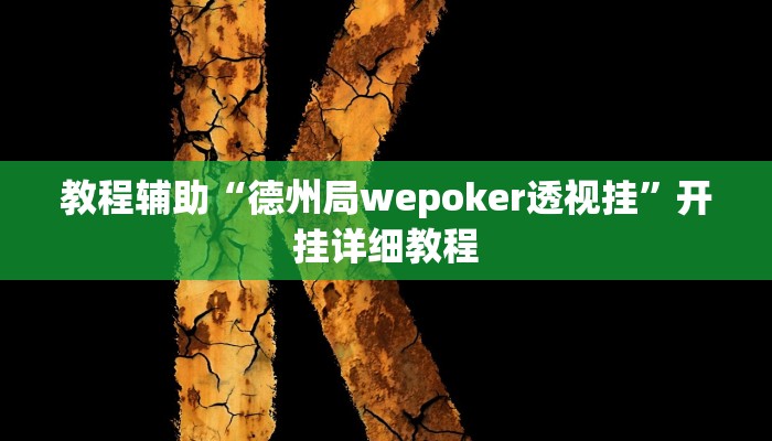 教程辅助“德州局wepoker透视挂”开挂详细教程
