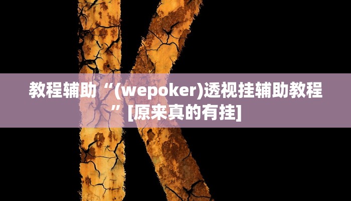 教程辅助“(wepoker)透视挂辅助教程”[原来真的有挂]
