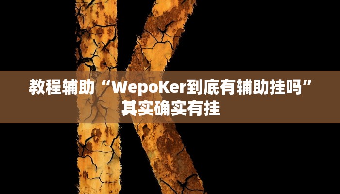 教程辅助“WepoKer到底有辅助挂吗”其实确实有挂