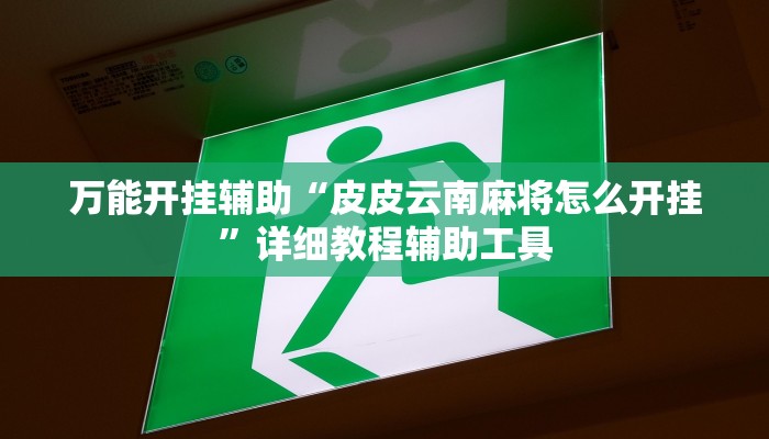 万能开挂辅助“皮皮云南麻将怎么开挂”详细教程辅助工具