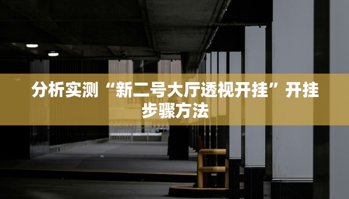 分析实测“新二号大厅透视开挂”开挂步骤方法 分析实测“新二号大厅透视开挂”开挂步骤方法