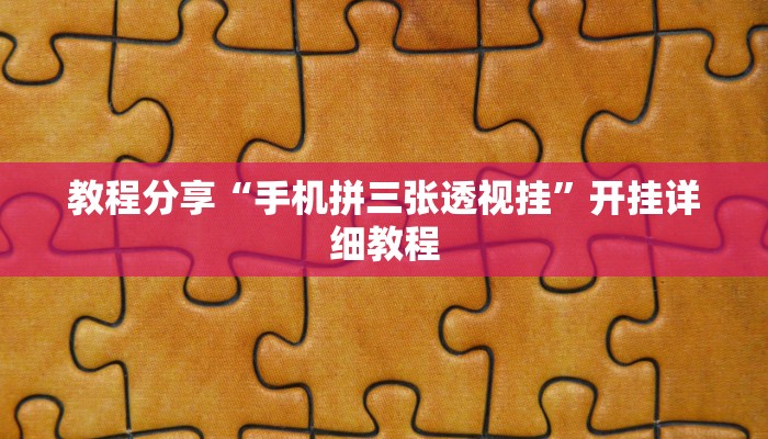 教程分享“手机拼三张透视挂”开挂详细教程