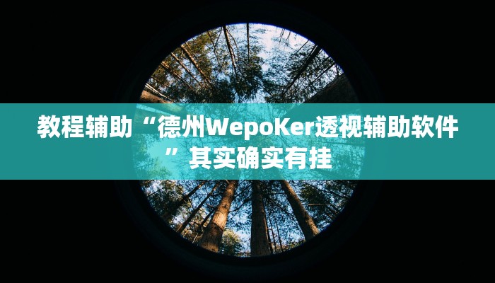 教程辅助“德州WepoKer透视辅助软件”其实确实有挂