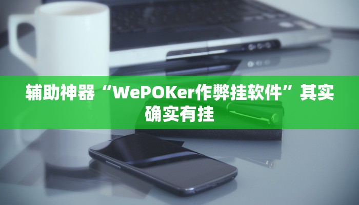 辅助神器“WePOKer作弊挂软件”其实确实有挂 辅助神器“WePOKer作弊挂软件”其实确实有挂