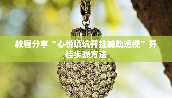 辅助神器“八闽十三张透视挂”开挂步骤方法 辅助神器“八闽十三张透视挂”开挂步骤方法