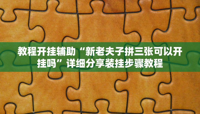 辅助神器“微乐保皇辅助开挂神器”其实确实有挂