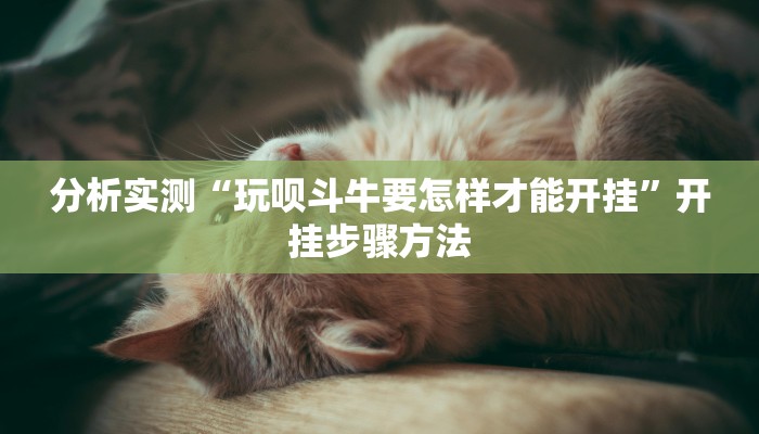 分析实测“玩呗斗牛要怎样才能开挂”开挂步骤方法 分析实测“玩呗斗牛要怎样才能开挂”开挂步骤方法