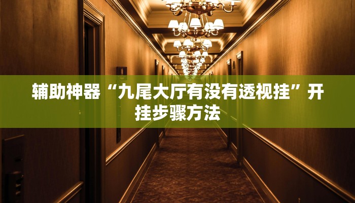 辅助神器“九尾大厅有没有透视挂”开挂步骤方法 辅助神器“九尾大厅有没有透视挂”开挂步骤方法