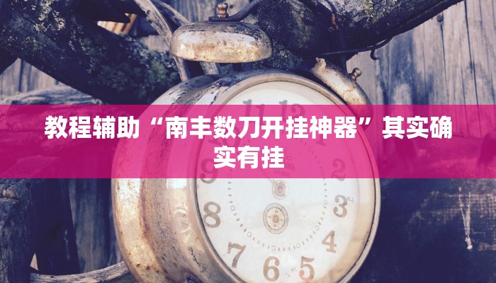 教程辅助“南丰数刀开挂神器”其实确实有挂