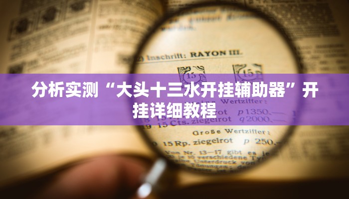 分析实测“大头十三水开挂辅助器”开挂详细教程