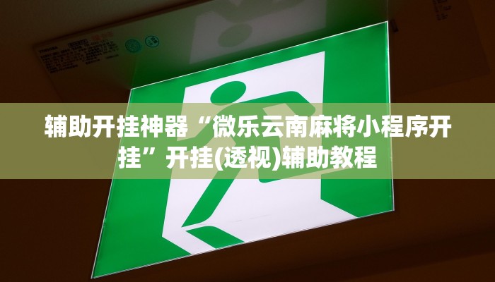 辅助神器“忆游十三道透视开挂神器”其实确实有挂