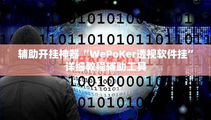 辅助开挂神器“WePoKer透视软件挂”详细教程辅助工具