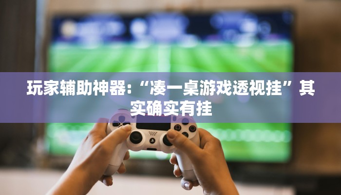 玩家辅助神器:“凑一桌游戏透视挂”其实确实有挂 玩家辅助神器:“凑一桌游戏透视挂”其实确实有挂