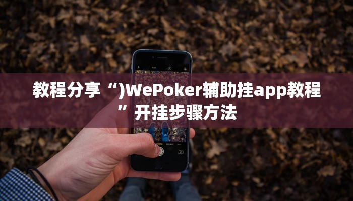 教程分享“)WePoker辅助挂app教程”开挂步骤方法
