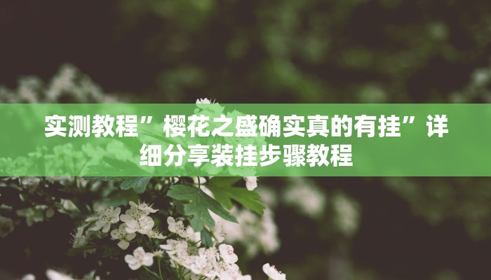 实测教程”樱花之盛确实真的有挂”详细分享装挂步骤教程