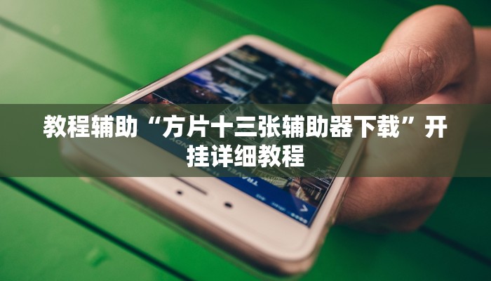 教程辅助“方片十三张辅助器下载”开挂详细教程 教程辅助“方片十三张辅助器下载”开挂详细教程